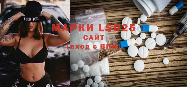 индика Абинск