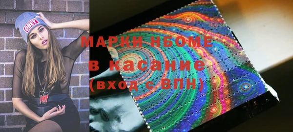 индика Абинск