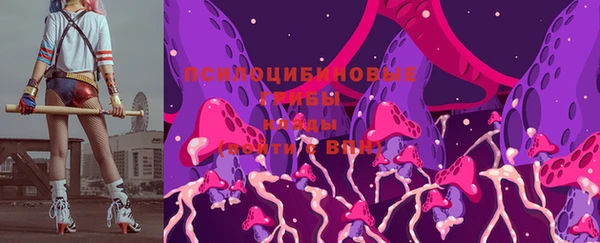 индика Абинск