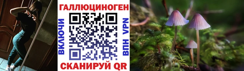Галлюциногенные грибы Psilocybine cubensis  Новая Усмань 